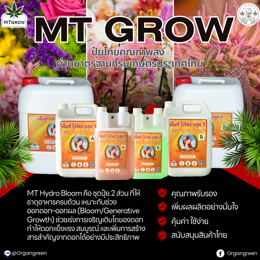 mt-grow-post-zip-mt-bloom