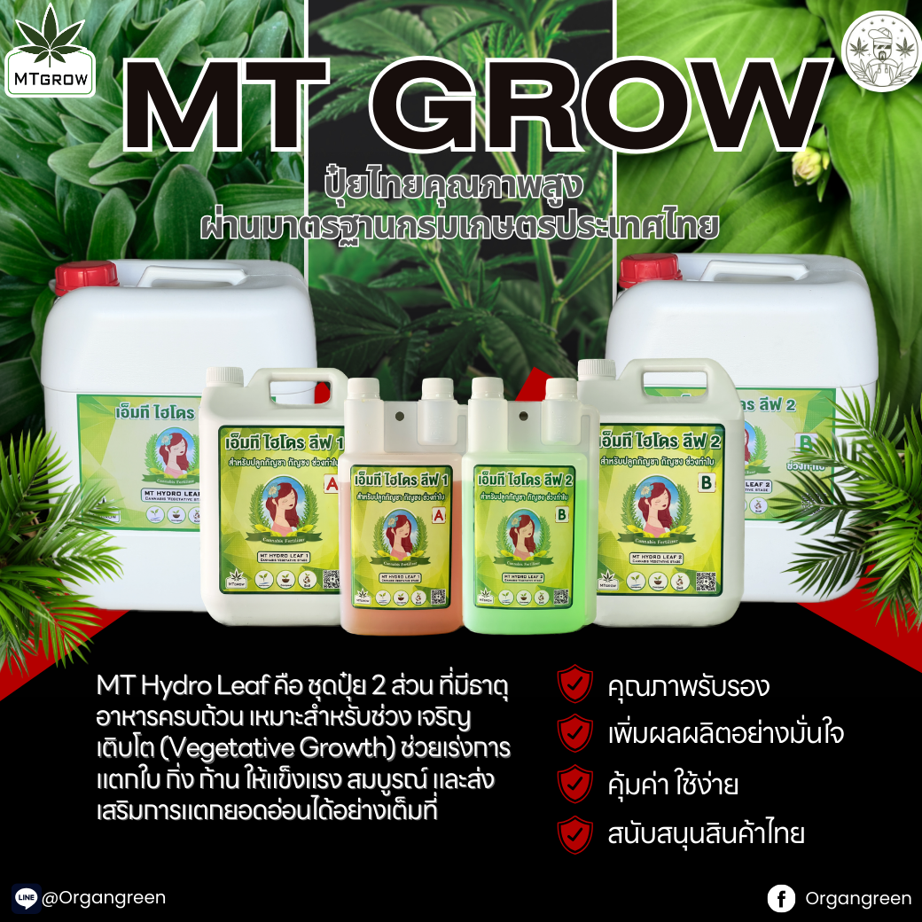 mt-grow-post-zip-mt-veg