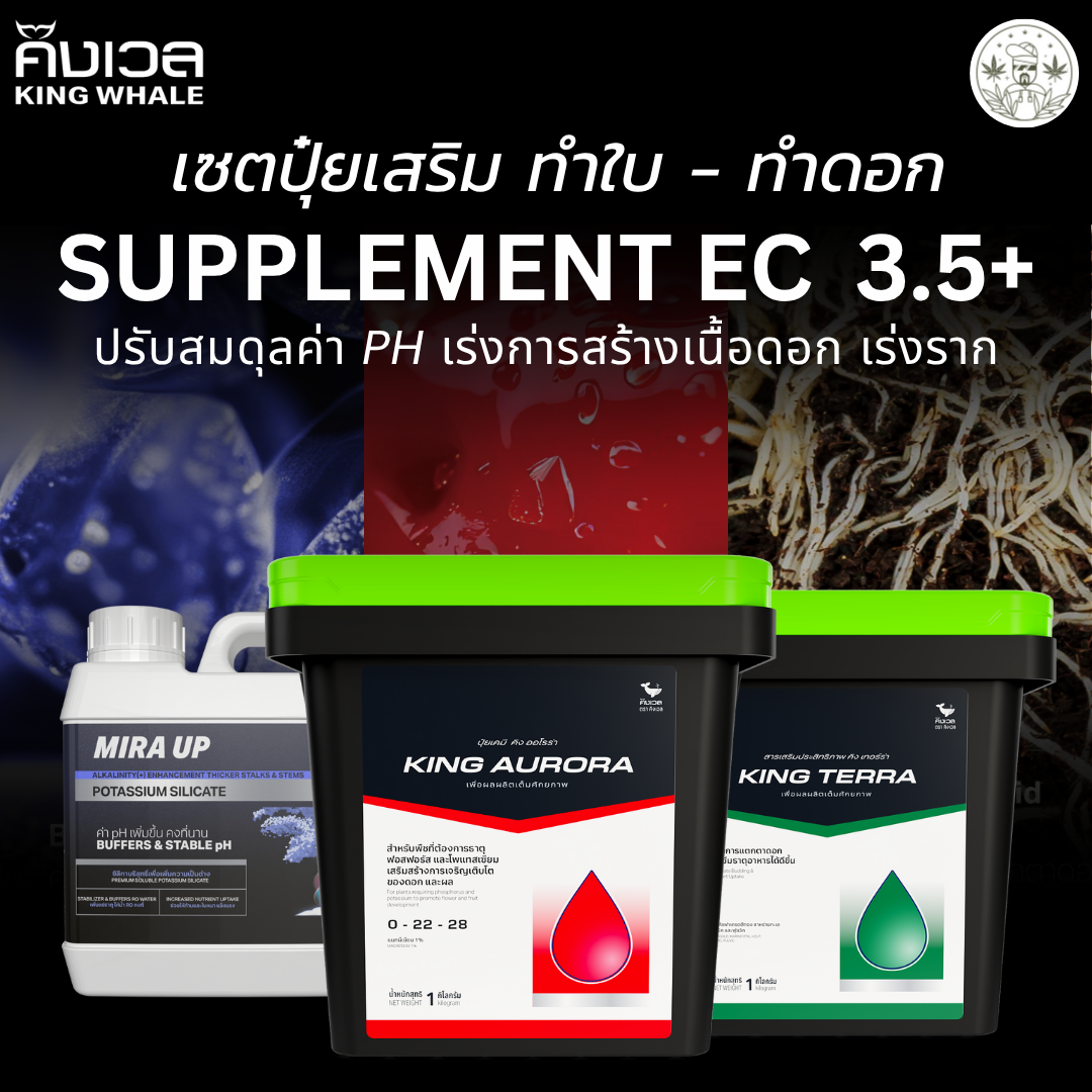 shopee-kingwhale-v-2-zip-3-set-additive-2025