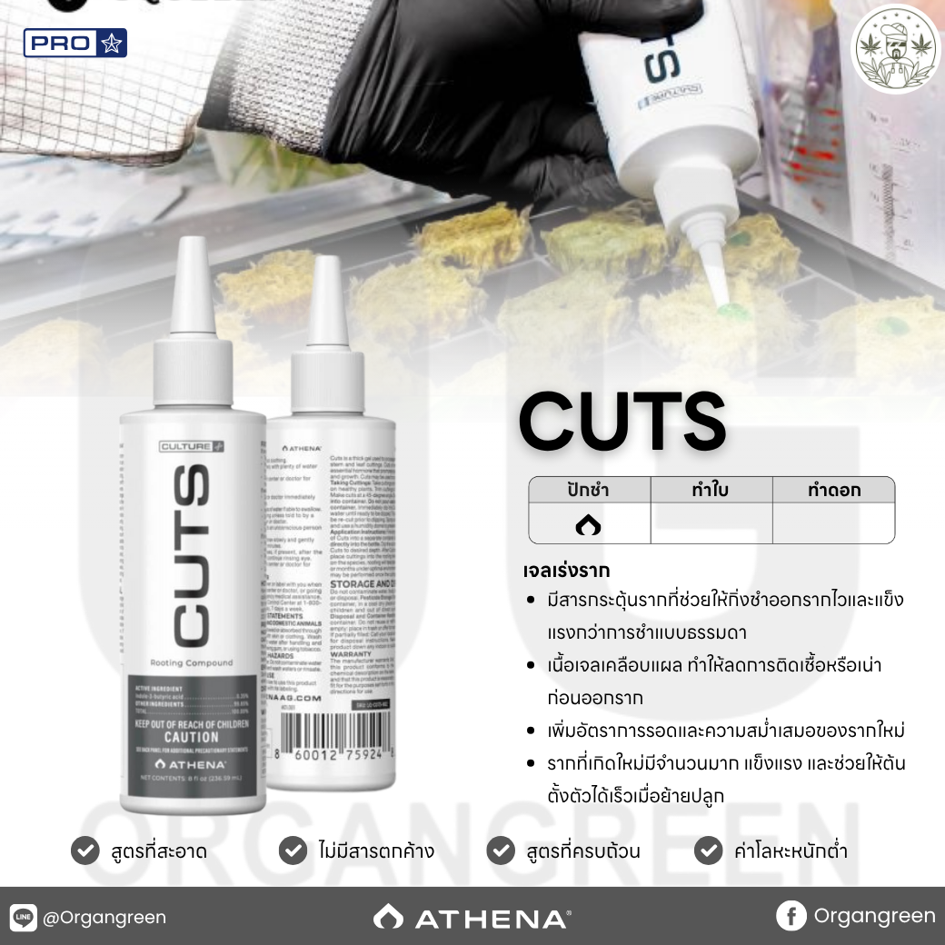 cuts-v.2025.png