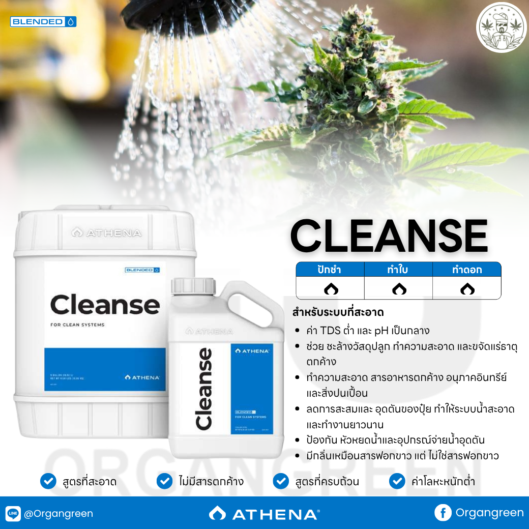 v-athena-v2025-zip-cleanse-v-2025