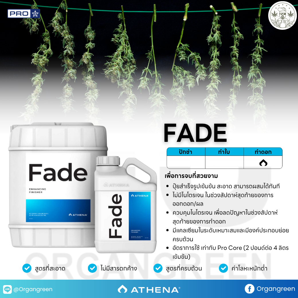 v-athena-v2025-zip-fade-v-2025