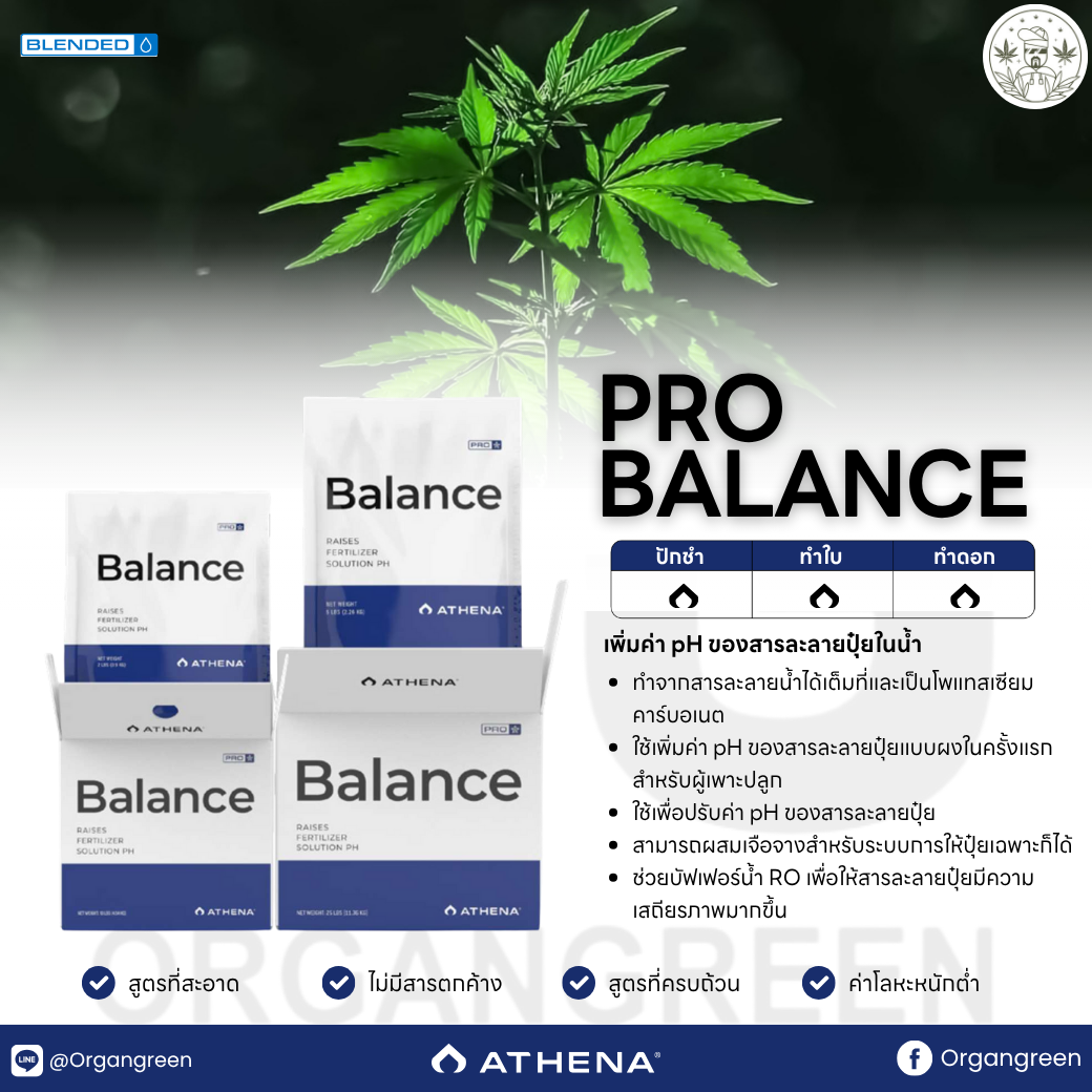 v-athena-v2025-zip-pro-balance-v-2025