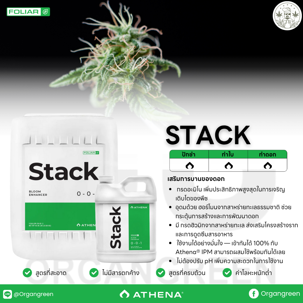 v-athena-v2025-zip-stack-v-2025