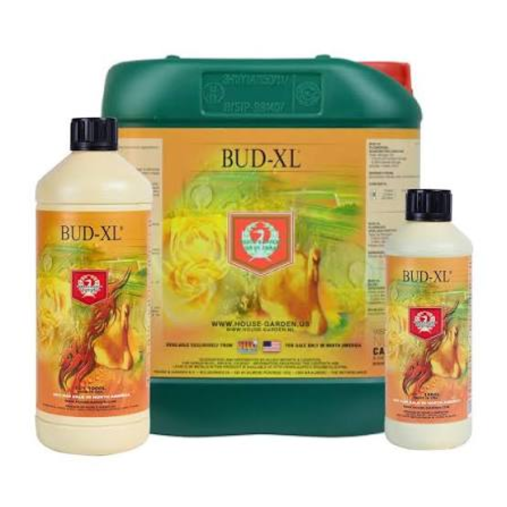bud 2