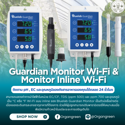 8.monitor