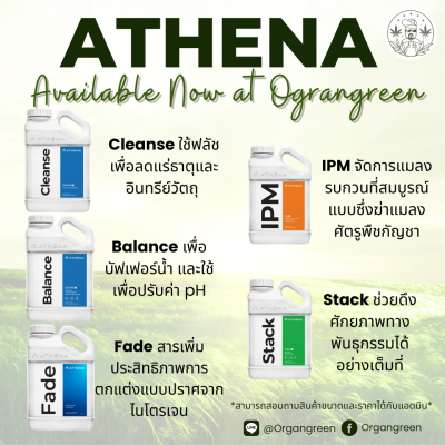 Copy of athena lq 500 ml (1)