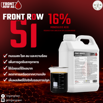 FRONT ROW Si 16062568
