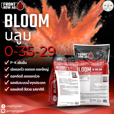 FRONT bloom (3)