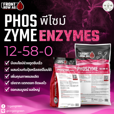 FRONT phoszyme (4)