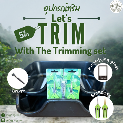 Let's trim (1)