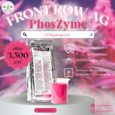 Phoszyme 1080 × 1080 px)