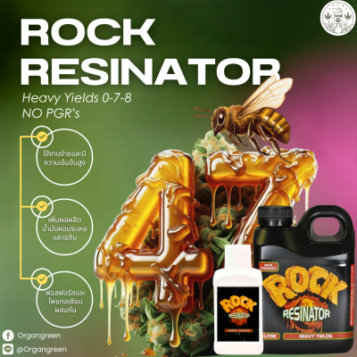Rock Resinator 0725