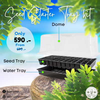 Seed starter tray
