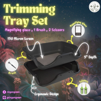 Trimming Tray Set