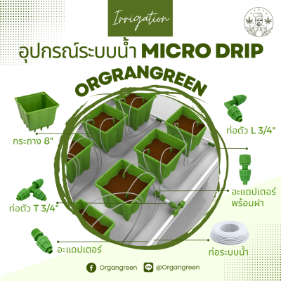 accessories by organgreen