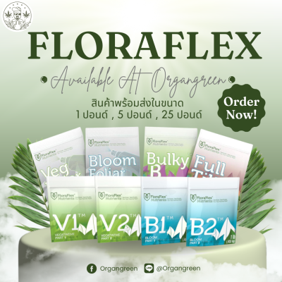 arrival floraflex