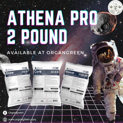 athena 2 lb