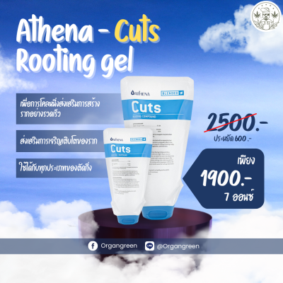 athena cuts