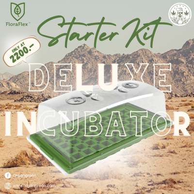 deluxe incubator