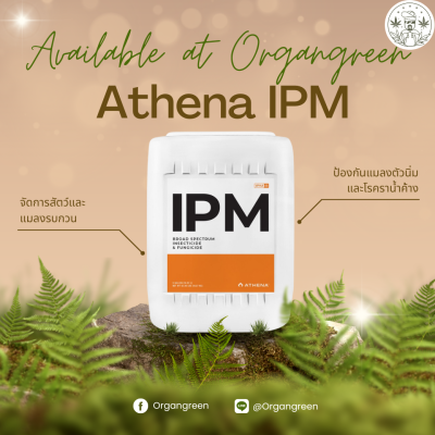 ipm