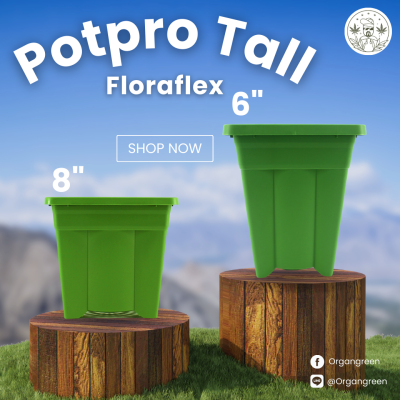 pot pro 6 & 8