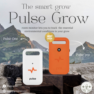 _pulse (1)