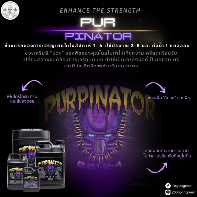 pur20112024