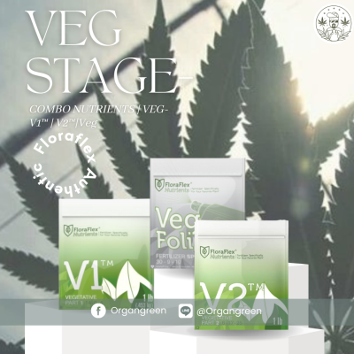 vv3